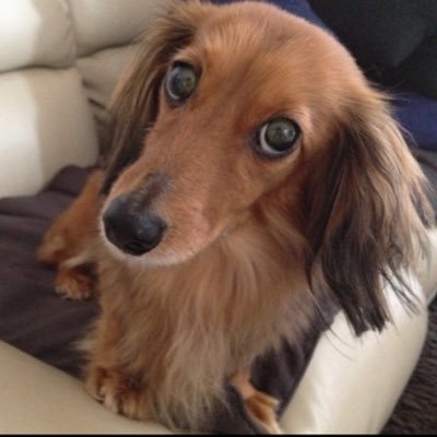 Tsuru0008's profile picture. 