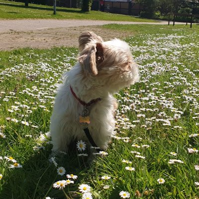 marvin49_'s profile picture. 