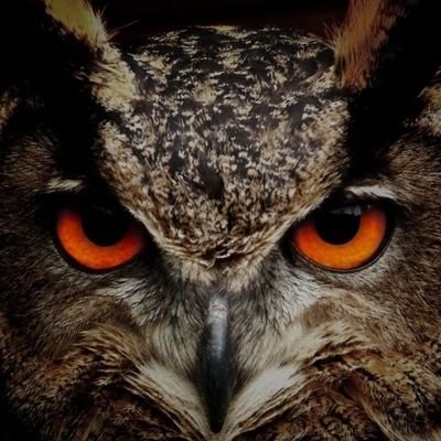 RybkaZ87443's profile picture. konto szydercze ,nie lubię Chamstwa i góralskiej muzyki ,za to sam chętnie obrzygam cie w autobusie 🤭