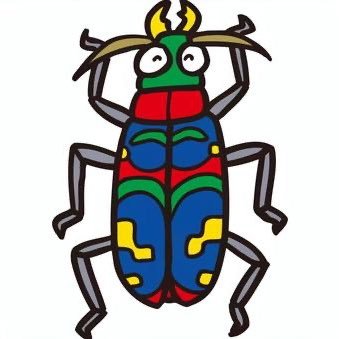 kireina_hane's profile picture. パワーリフティング1年生🔰🏋️‍♀️/ウッシー様推し🐮/当面の目標はBP40 SW70 DL100💪/timelesz/昆虫採集/楽しく、でも力強く！💪💪