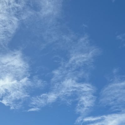 ZcsaqLB6dR11400's profile picture. 