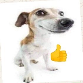 thecatapimbas's profile picture. 