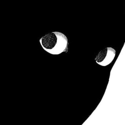 staticctrades's profile picture. NFA | %