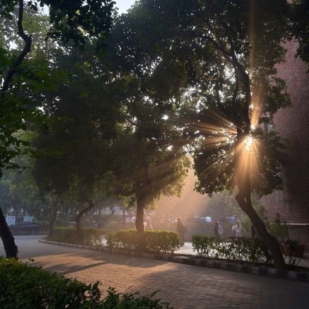 DikshaManu01's profile picture. 