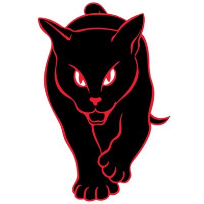 blackcatsmedia's profile picture. Engaging content for Sunderland fans, premier league fans and people who just love football!