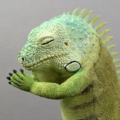 SideOst79474's profile picture. OST （One Side Testicles）の公式アカウントです