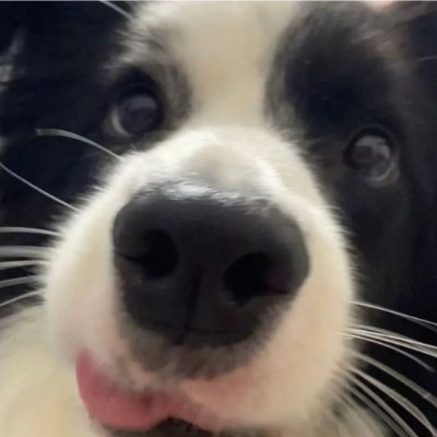 lovenishkumar9's profile picture. 你好：我姓瀟 是大美女 已經自主喝水20年
吃飯第一名
睡覺第一名
拉屎第一名
還有什麼事第一名...等我想一下再跟你說☝️