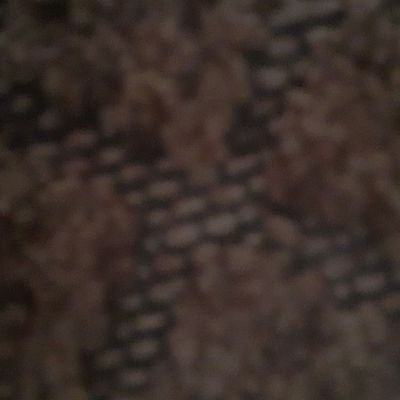 Ella23242526's profile picture. 