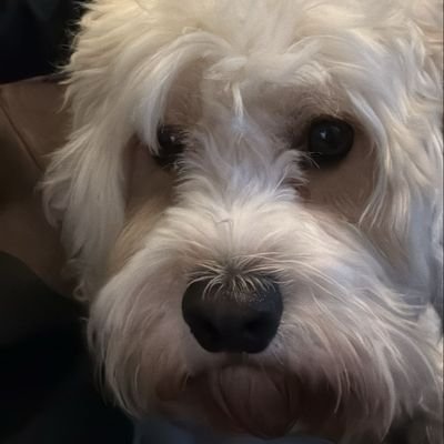 Mattsho31549096's profile picture. 