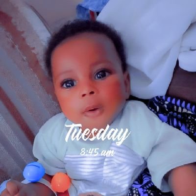 ogunlana11's profile picture. #UNITED🔴 #CR7❤️  #LASU 🎓#BAKER🍞  #FishFarmer🐬 #INVENTORYMANAGER #BUSINESSMANAGER  #AURACLE 💀 #HUNCHO