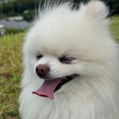 kouverglnew's profile picture. UVERworld、GLAYファンです！ RUN crew 犬と暮らしています。無言フォローすみません🙇無言フォロー大歓迎です！ マリメ2025.30、31日参戦。