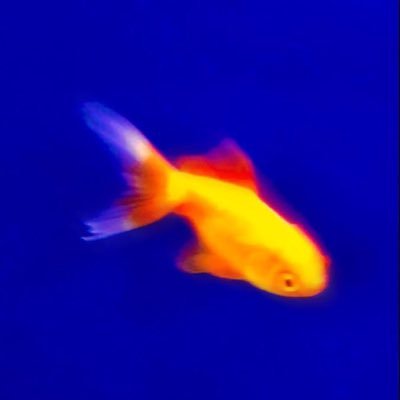 whotfistete's profile picture. meu único inimigo mora na mente.