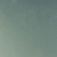 myatigler's profile picture. 