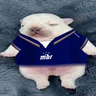 cursenal's profile picture. @jenseism but more evil