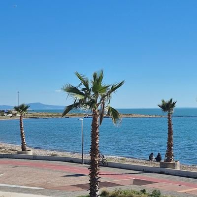 beyhanafacan's profile picture. istanbul gönüllüsü ❤🙋‍♀️🌸🎈🌺🍀🤗💐