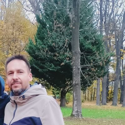 Daniel65808682's profile picture. 