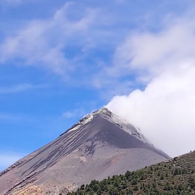 Lzfinanciera's profile picture. 