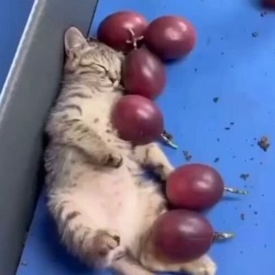 TheJ4yMan's profile picture. 