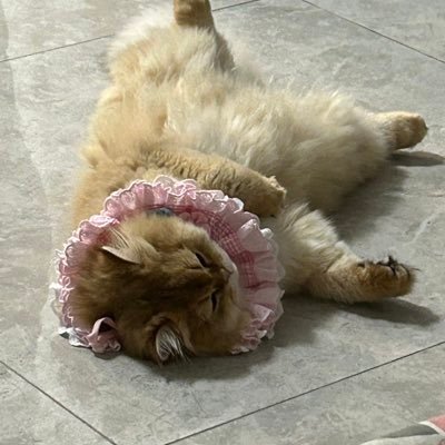 wuullla's profile picture. 