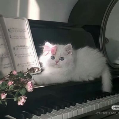 strong2_'s profile picture. أطيب وأطهر مما تظن. #طموح #تطوع #تطور