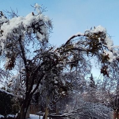 LBlueriver's profile picture. 🙏🙏🙏🇮🇱🇮🇱🇮🇱🇮🇱🇮🇱🇺🇸🇺🇸🙏🙏🙏🙏 🇺🇦🇺🇦 I pray and blessed Israel, USA and Ukraine.