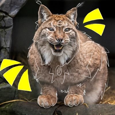 Quin_lark's profile picture. Minor |
| KITTYYYYY |
 -GENDERFLUID(though I'd like to be known as male, often)-

.All shall be loved.. THAT'S A SUPPORTIVE LINE.