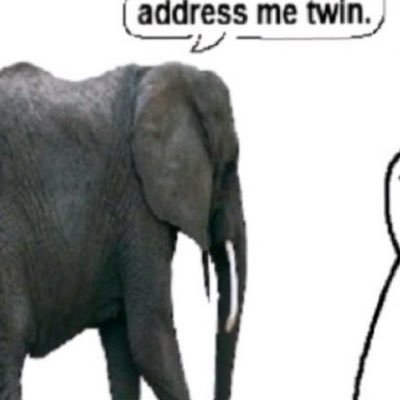 fragilbluejeans's profile picture. winter+kazuha, twice, chelsea (world champions)