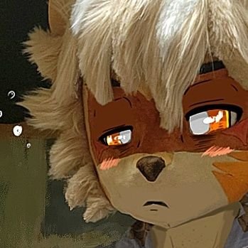 snowraccoon3535's profile picture. what were you dreaming about..?