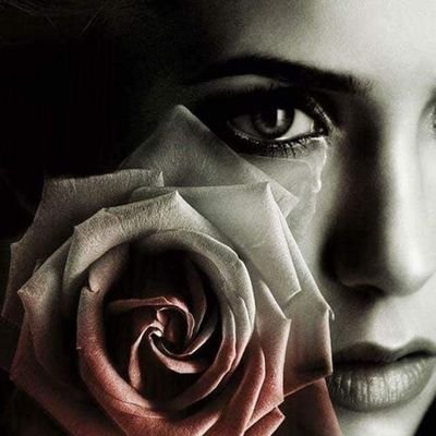 laz52801's profile picture. 