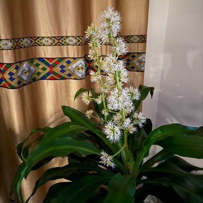 QueenBezyee's profile picture. 