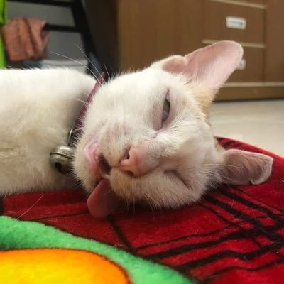 zkien29's profile picture. 