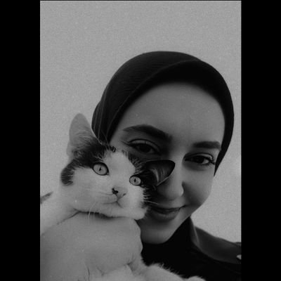 Berf_0306's profile picture. 