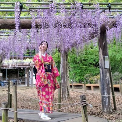 tsunoyukahan's profile picture. とある街で5年間芸者さんをした後未経験転職、現在エンジニア6年目です💻