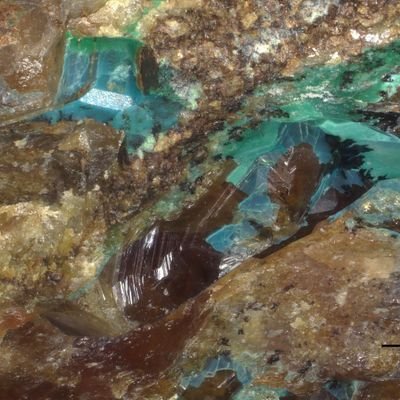 Ohdbebbbn009's profile picture. I shall be tweeting my thoughts on matters that concern the red planet.