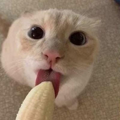 divyum12's profile picture. Mujhse shadi karogi?