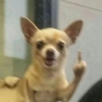 sunnysoo_'s profile picture. อ้วน