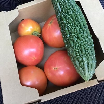 solicitorsjp's profile picture. kouken only