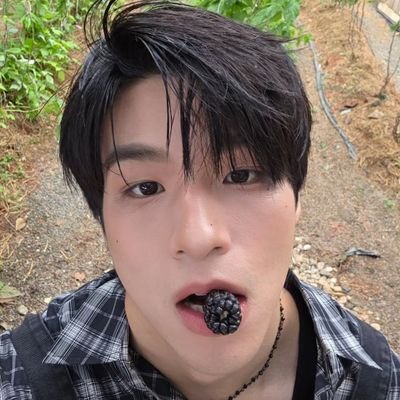 enhytreasure's profile picture. 21y