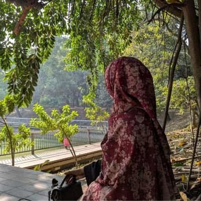 the_mystery0's profile picture. 