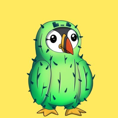 shimkey's profile picture. self proclaimed bd / marketing @ppuffins