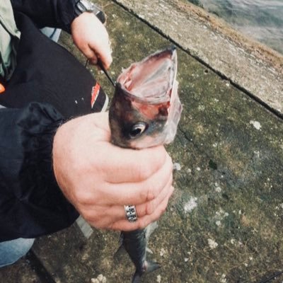 muhdanqq's profile picture. zs