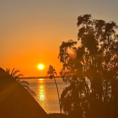 ShannonANDJon's profile picture. .