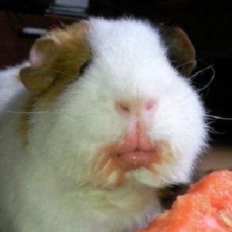 47bumm's profile picture. 엄마가관리하는계정