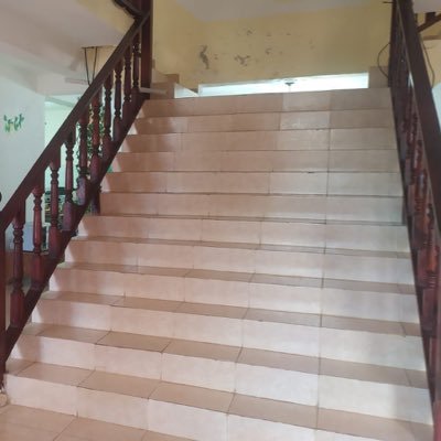 EnmanuelNu798's profile picture. 