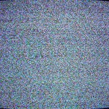 TeamSESH's profile picture. 