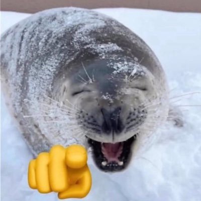 twtusersaredumb's profile picture. 🏳️‍🌈🏳️‍⚧️18 he/they, i draw sometimes and play games. currently playing mh frontier, ds2, ghost of yōtei, and hades