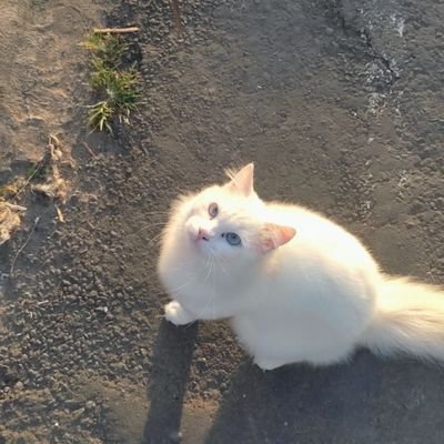 jeebruyyy's profile picture. mihu mihu yg collegetwt