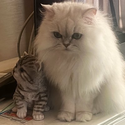 kurocodine's profile picture. ｱｲｺﾝ愛猫ﾍｯﾀﾞ-廃墟。好物➡️音楽(洋邦)🎶💕特にBlankeyJetCity、ﾅｲﾝｲﾝﾁﾈｲﾙｽﾞ💕ﾗｲﾌﾞ参戦最近(浅井健一,Ajico,Damned,Dojin,ﾛｻﾞﾘｵｽ,ﾃﾞﾘｺ,neworder,電気ｸﾞﾙｰｳﾞUA,ﾔｲｺ)/格闘技🥊/廃墟・廃村・鉱山・史跡/DQW,FFRK,懐ｹﾞｰ