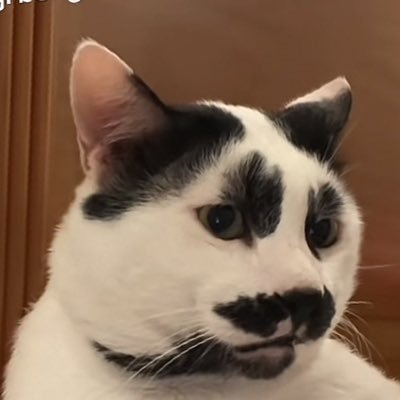 clowvry's profile picture. ★ ✿⋆·˚❀❝ 𝘄𝗶𝘀𝗵𝗶𝗻𝗴 𝘂 𝘁𝗼𝗻𝘀 𝗼𝗳 𝗴𝗼𝗼𝗱𝗹𝘂𝗰𝗸 🍀 ❞❀˚·⋆✿ ★ ||| ———read pinned pls 📌