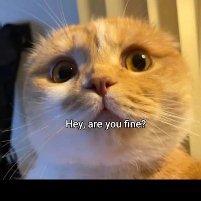 jjjjjj11122's profile picture. متفائل شويه